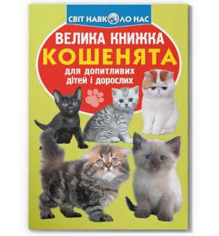 Велика книжка. Кошенята (9789669367709)