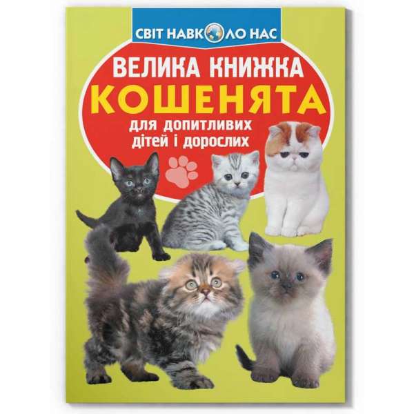 Велика книжка. Кошенята (9789669367709)