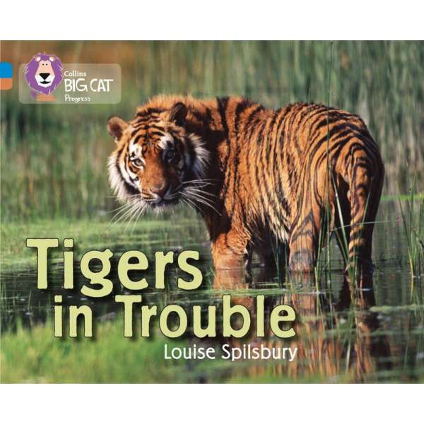  Big Cat Progress 4/12 Tigers in Trouble.