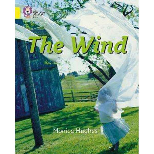 Big Cat 3 The Wind. Workbook.