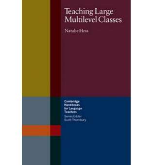  Teaching Large Multilevel Classes Book