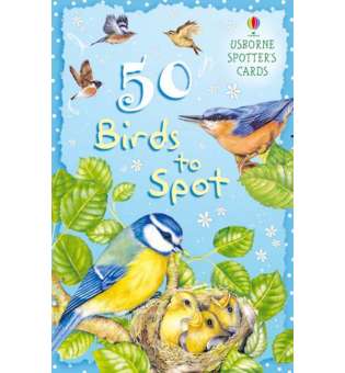  50 Birds to Spot. Cards