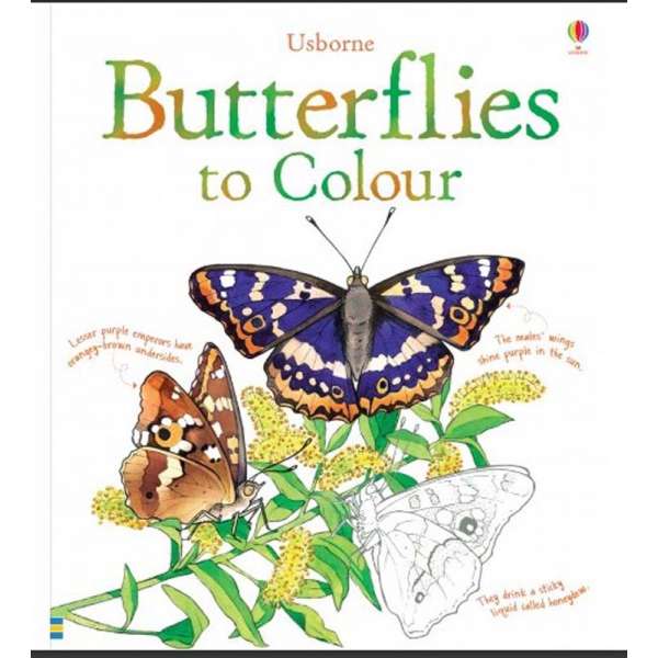  Colouring Book: Butterflies to Colour