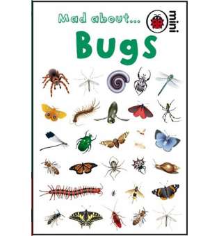  Ladybird Mini: Mad About Bugs