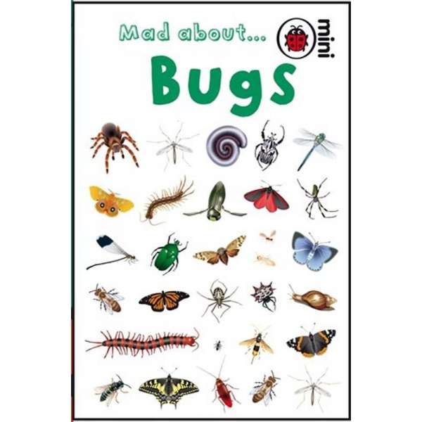  Ladybird Mini: Mad About Bugs
