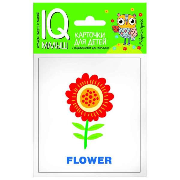  IQ Малыш: English Растения