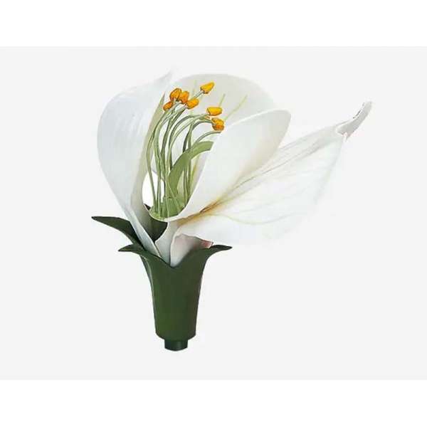 Горох квітка біла модель