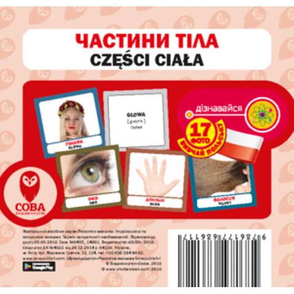 Польсько-українські картки. Частини тіла 
