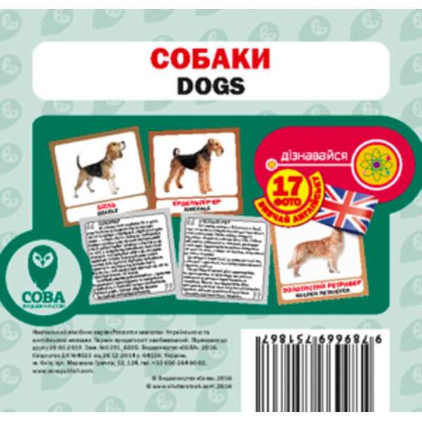Англійсько-українські картки. Собаки 