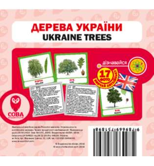 Англійсько-українські картки. Дерева України