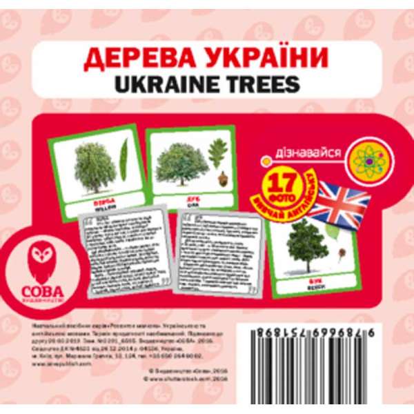 Англійсько-українські картки. Дерева України
