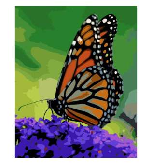 Картина за номерами "Помаранчевий метелик"