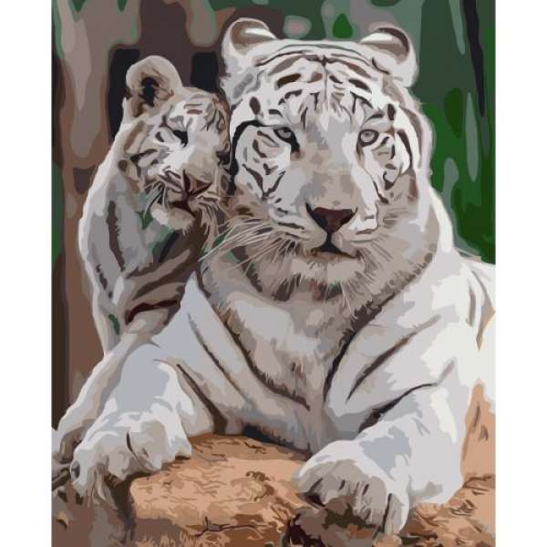 Картина за номерами "Білі тигри"