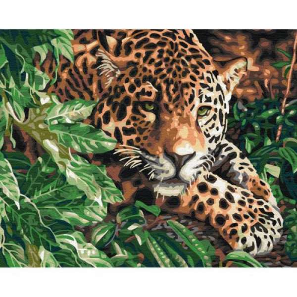 Картина за номерами Леопард зі смарагдовими очима ★★★