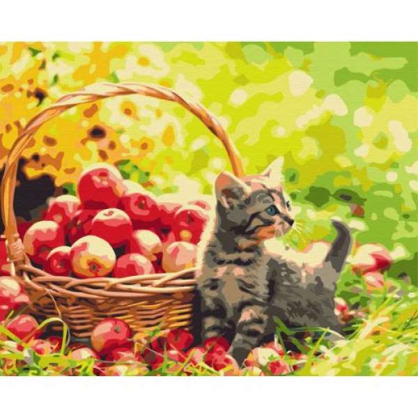Картина за номерами Яблучний котик ★★★