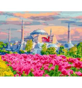 Картина за номерами Стамбульські квітучі лани ★★★