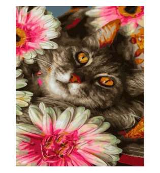 Картина за номерами Кіт у квітах 40х50 см