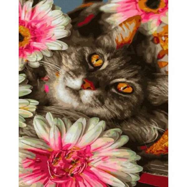 Картина за номерами Кіт у квітах 40х50 см