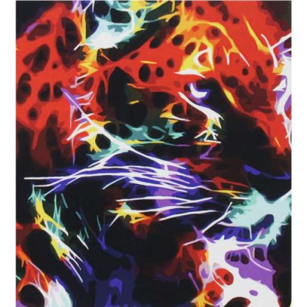 Картина за номерами "Неоновий гепард