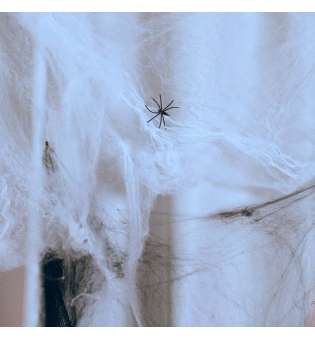 Павутина декор. Yes! Fun Хелловін 20г, з двома павучками, біла