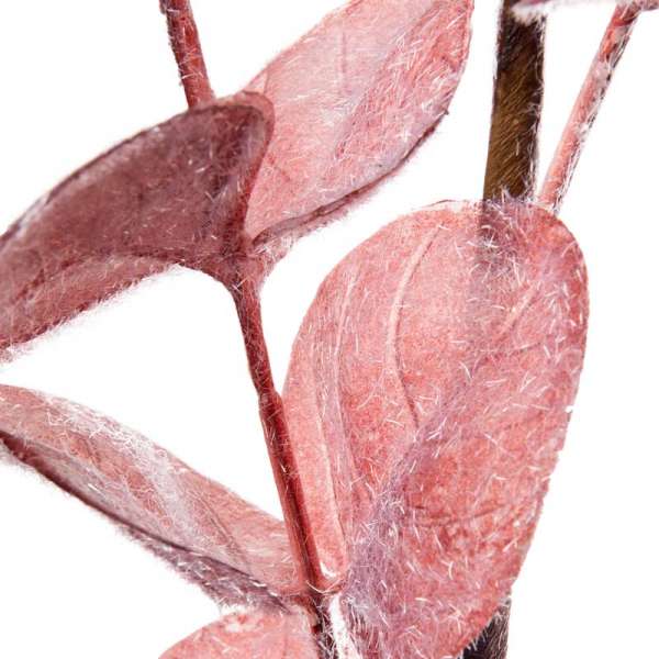 Гілка декоративна Yes! Fun Евкаліпт рожевий, засніжена, 84 см