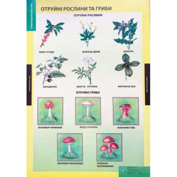 ПЛАКАТ Отруйні рослини та гриби