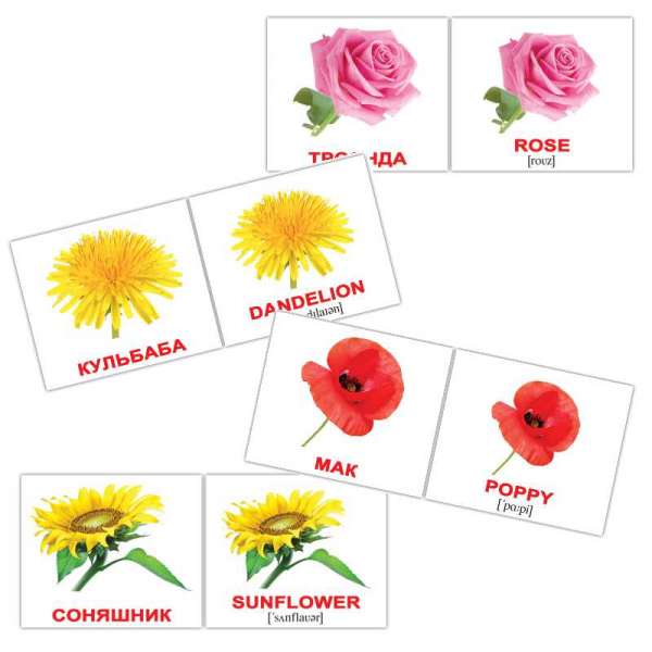 Картки Домана Квіти/Flowers міні-20