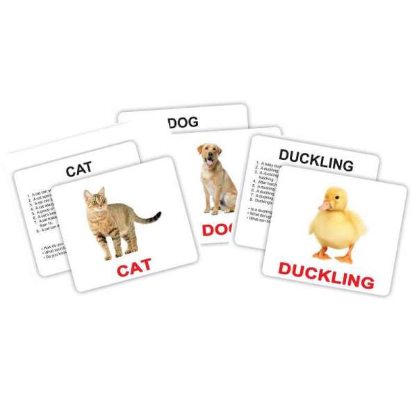 Англійські картки Домана з фактами Pets and farm animals with facts