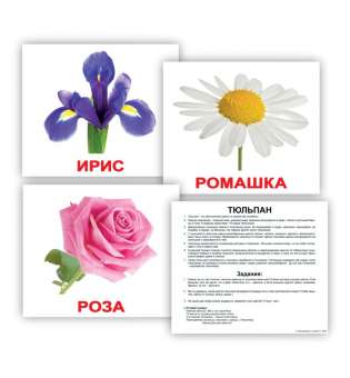Карточки Домана с фактами. Цветы