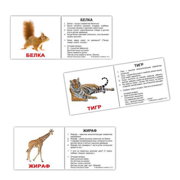 Карточки Домана Дикие животные с фактами мини-40