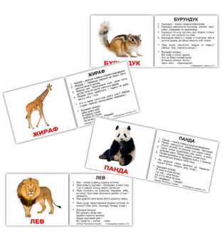Картки Домана Дикі тварини з фактами мініІ-40