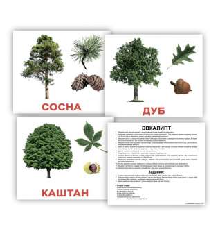 Карточки Домана с фактами. Деревья  