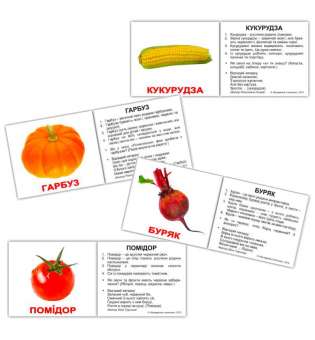 Картки Домана Овочі з фактами міні-40