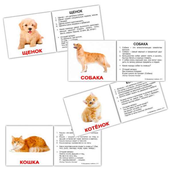 Карточки Домана Домашние животные и детёныши с фактами мини-40