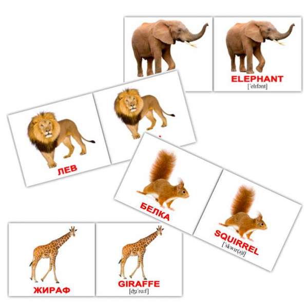 Карточки Домана Дикие животные/Wild animals мини-40