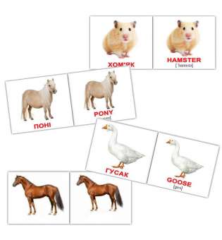 Картки Домана Свійські тварини/Domestic animals міні-40