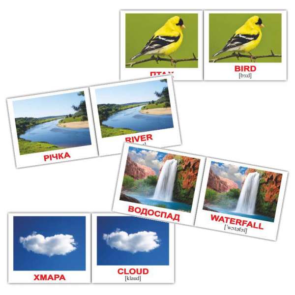 Картки Домана Природа/Nature міні-40