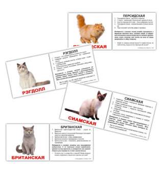 Карточки Домана Породы кошек с фактами мини-20