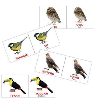 Карточки Домана Птицы/Birds мини-40