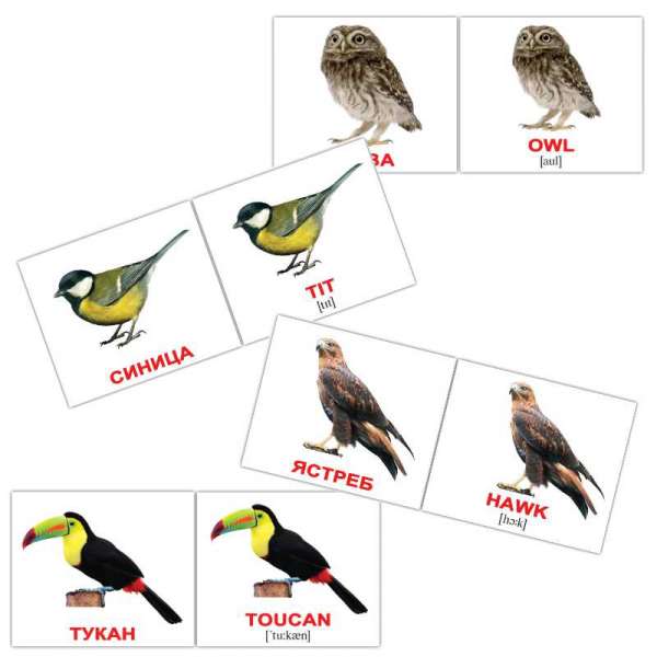 Карточки Домана Птицы/Birds мини-40