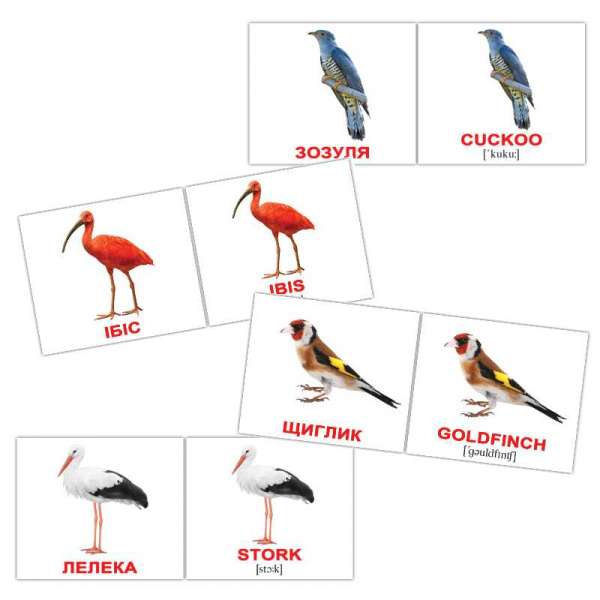Картки Домана Птахи/Birds міні-40